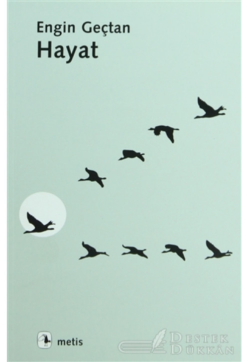 Hayat