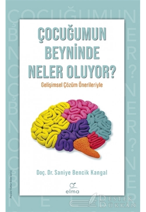 Çocuğumun Beyninde Neler Oluyor?
