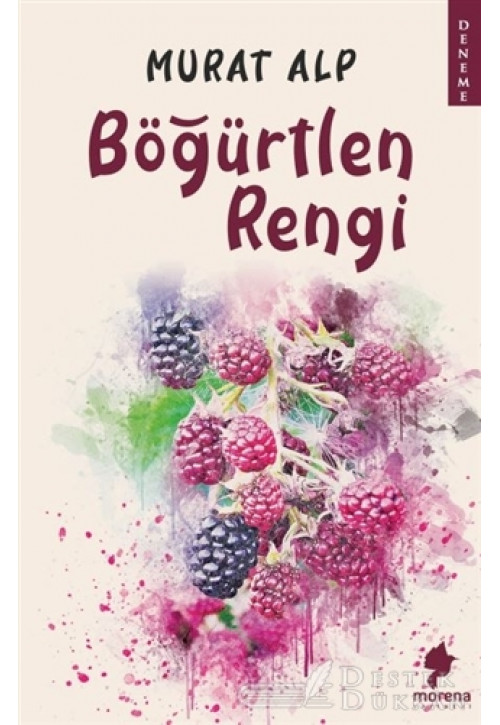 Böğürtlen Rengi