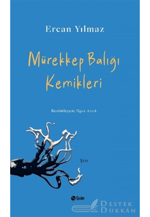 Mürekkep Balığı Kemikleri