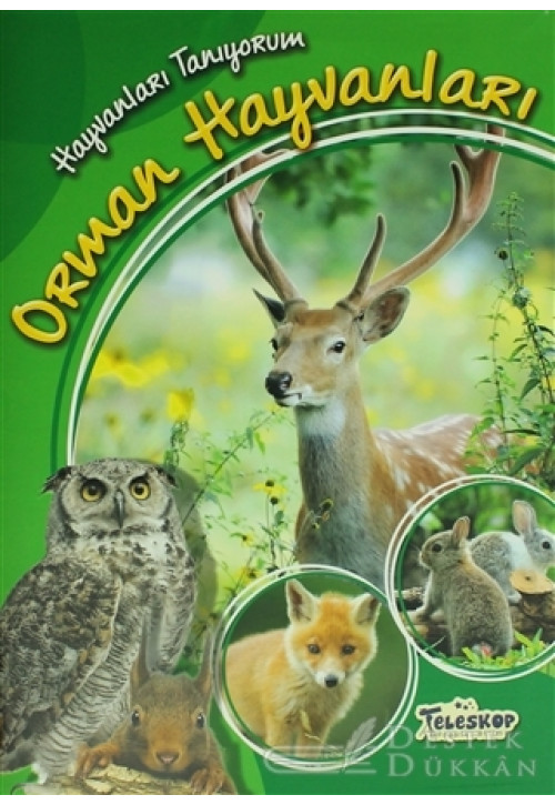 Hayvanları Tanıyorum - Orman Hayvanları
