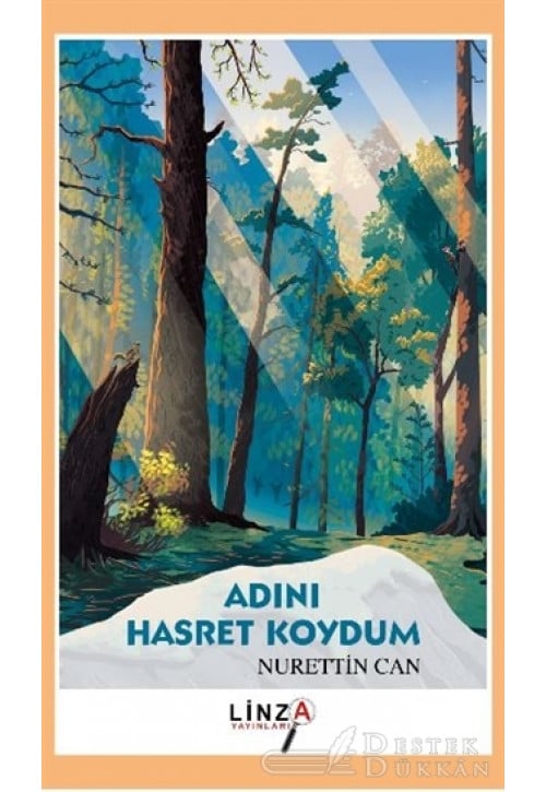 Adını Hasret Koydum