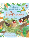 Peep Inside A Bird's Nest