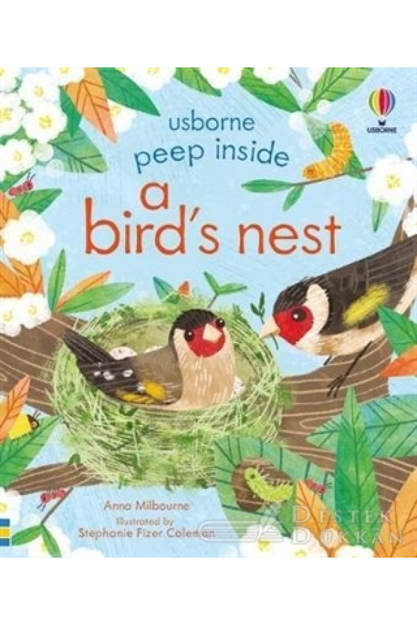 Peep Inside A Bird's Nest