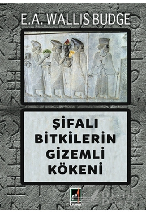 Şifalı Bitkilerin Gizemli Kökeni