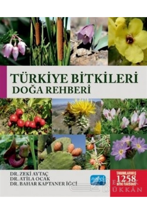 Türkiye Bitkileri Doğa Rehberi