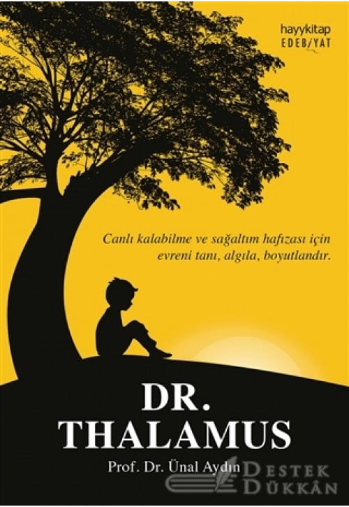 Dr. Thalamus