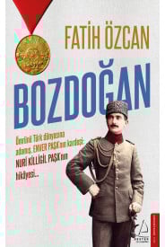 Bozdoğan