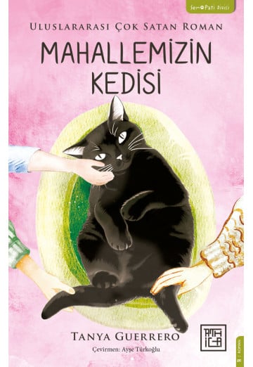 Mahallemizin Kedisi