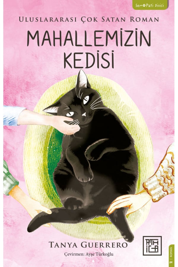 Mahallemizin Kedisi
