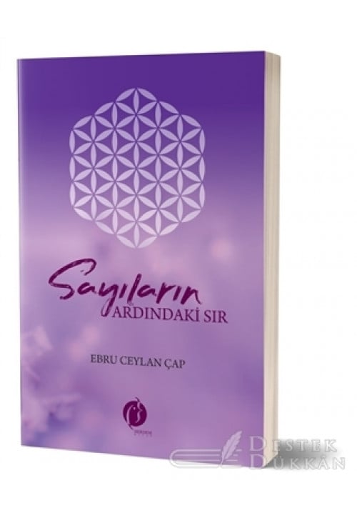 Sayıların Ardındaki Sır