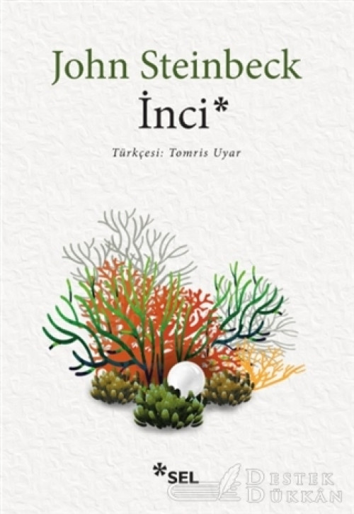 İnci
