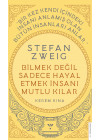 Bilmek Değil Sadece Hayal Etmek İnsanı Mutlu Kılar - Stefan Zweig