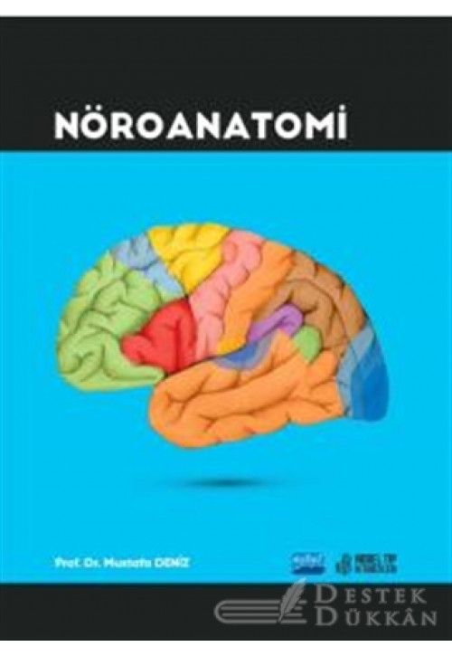 Nöroanatomi