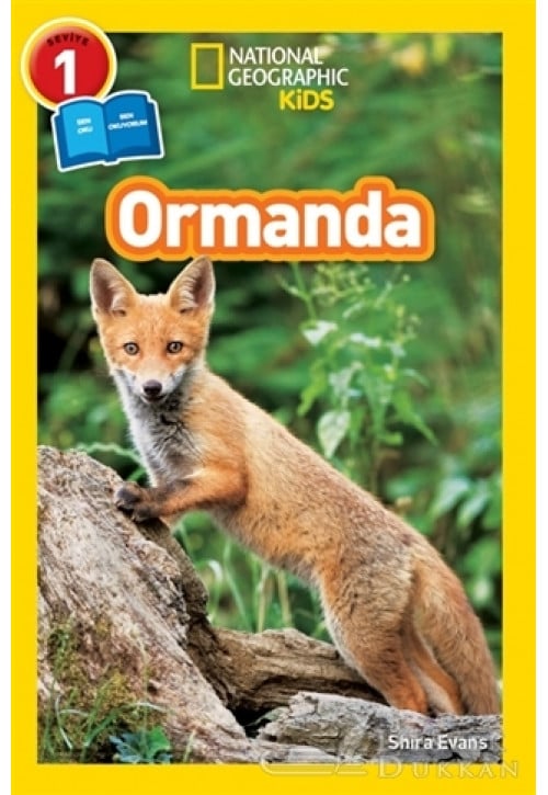 Ormanda - Seviye 1