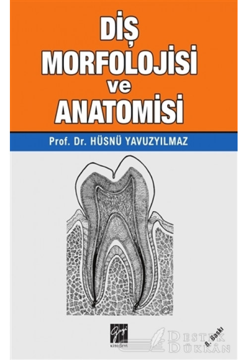 Diş Morfolojisi ve Anatomisi
