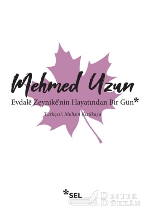 Evdale Zeynike'nin Hayatından Bir Gün