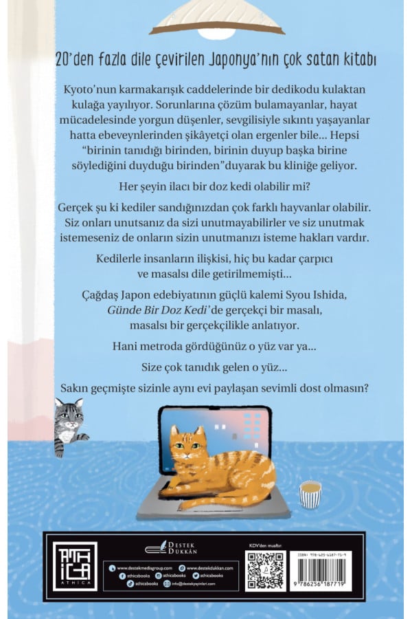 Günde Bir Doz Kedi
