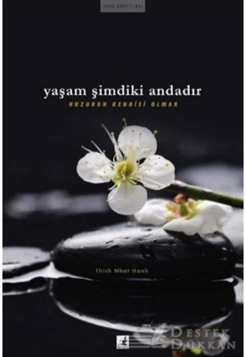 Yaşam Şimdiki Andadır