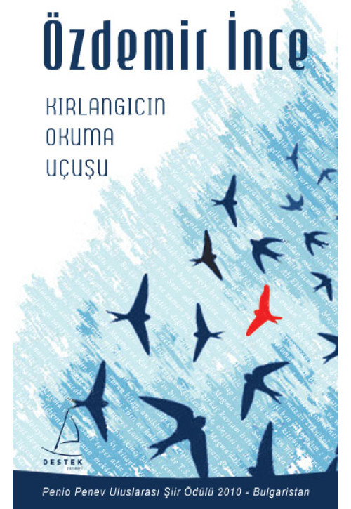 Kırlangıcın Okuma Uçuşu