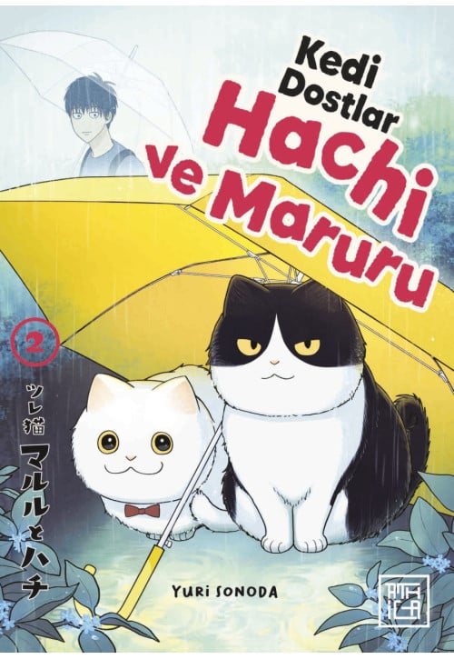 Kedi Dostları Hachi ve Maruru 2