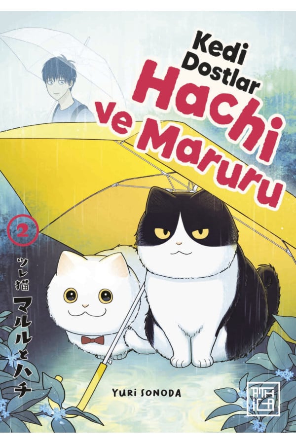 Kedi Dostları Hachi ve Maruru 2