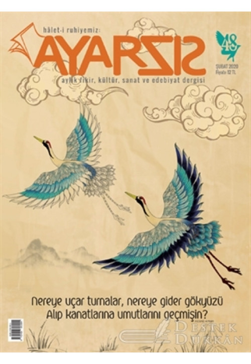 Ayarsız Aylık Fikir Kültür Sanat ve Edebiyat Dergisi Sayı: 48 Şubat 2020