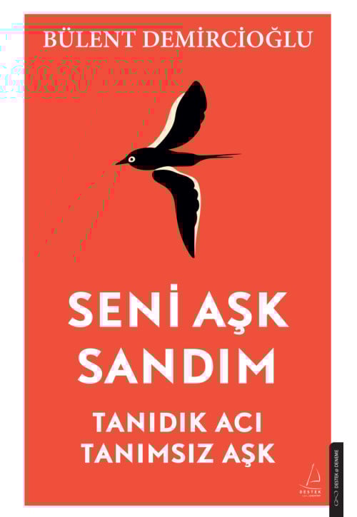 Seni Aşk Sandım
