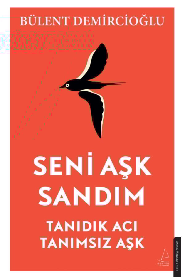 Seni Aşk Sandım