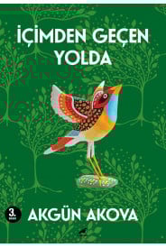 İçimden Geçen Yolda