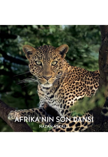 Afrika'nın Son Dansı