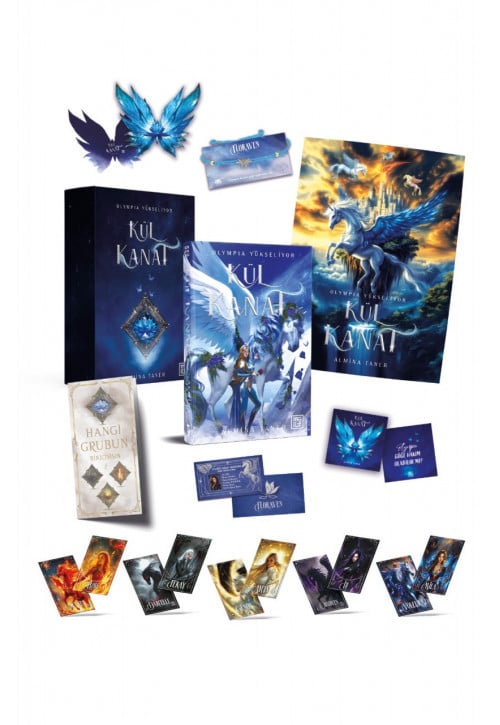 Kül Kanat Kutulu Set