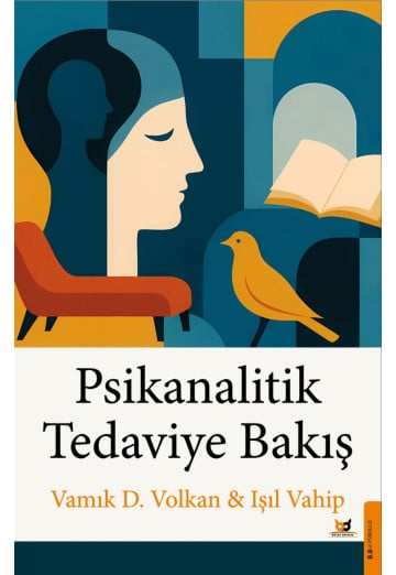 Psikanalitik Tedaviye Bakış