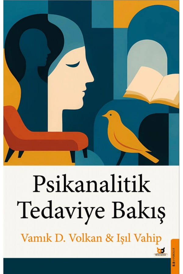 Psikanalitik Tedaviye Bakış