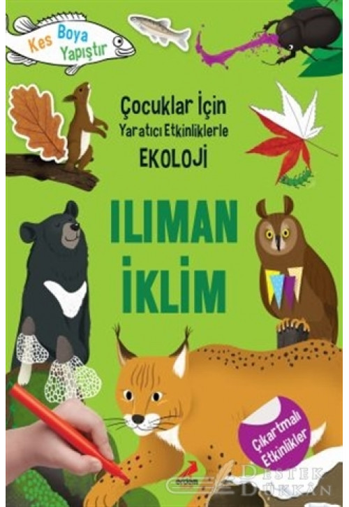 Ilıman İklim - Çocuklar İçin Yaratıcı Etkinliklerle Ekoloji