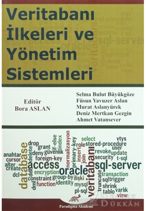 Veritabanı İlkeleri ve Yönetim Sistemleri