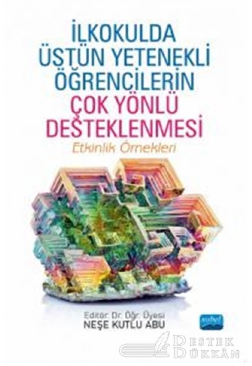 İlkokulda Üstün Yetenekli Öğrencilerin Çok Yönlü Desteklenmesi