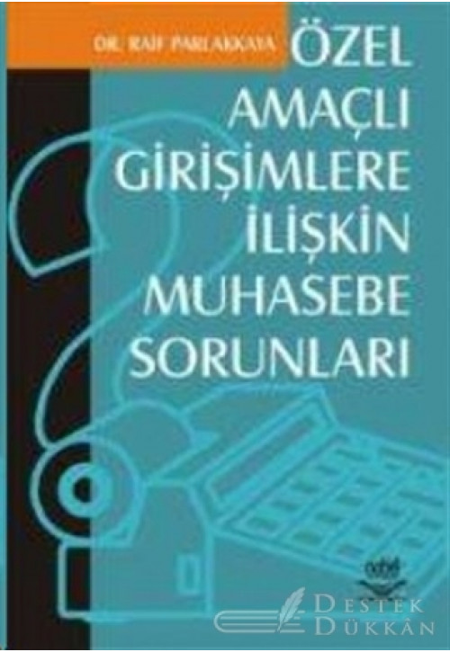 Özel Amaçlı Girişimlere İlişkin Muhasebe Sorunları