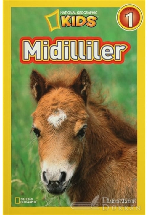 Midilliler