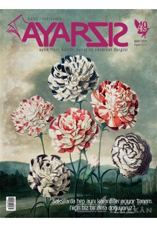 Ayarsız Aylık Fikir Kültür Sanat ve Edebiyat Dergisi Sayı: 49 Mart 2020
