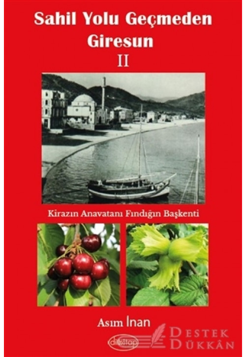 Sahil Yolu Geçmeden Giresun 2
