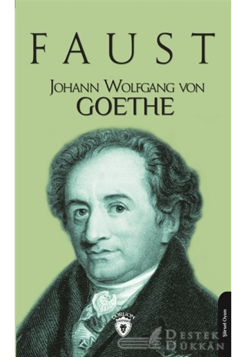 Гете 4. Иоганн Гете. Гете портрет. Johann Wolfgang von Goethe. Гёте молодой.